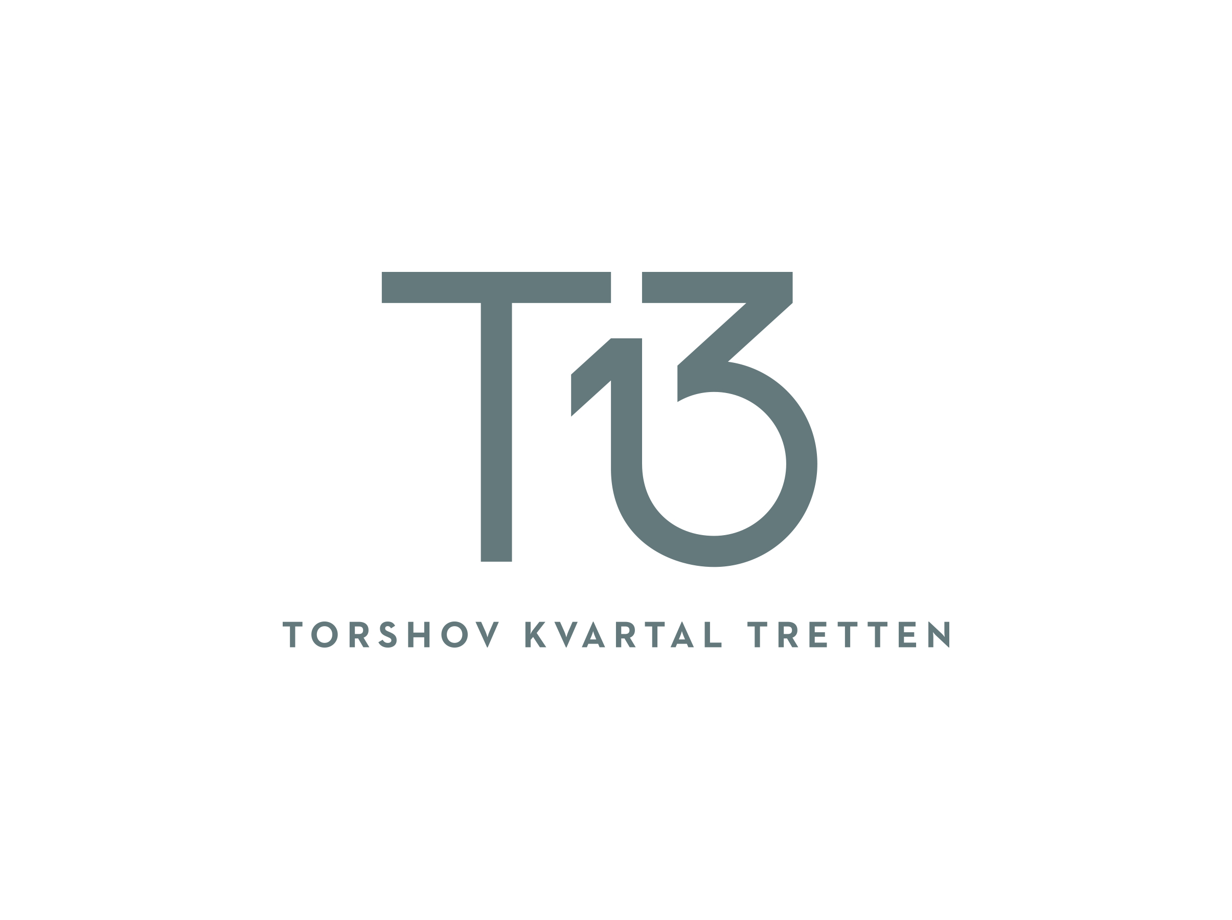 T13_01.jpg