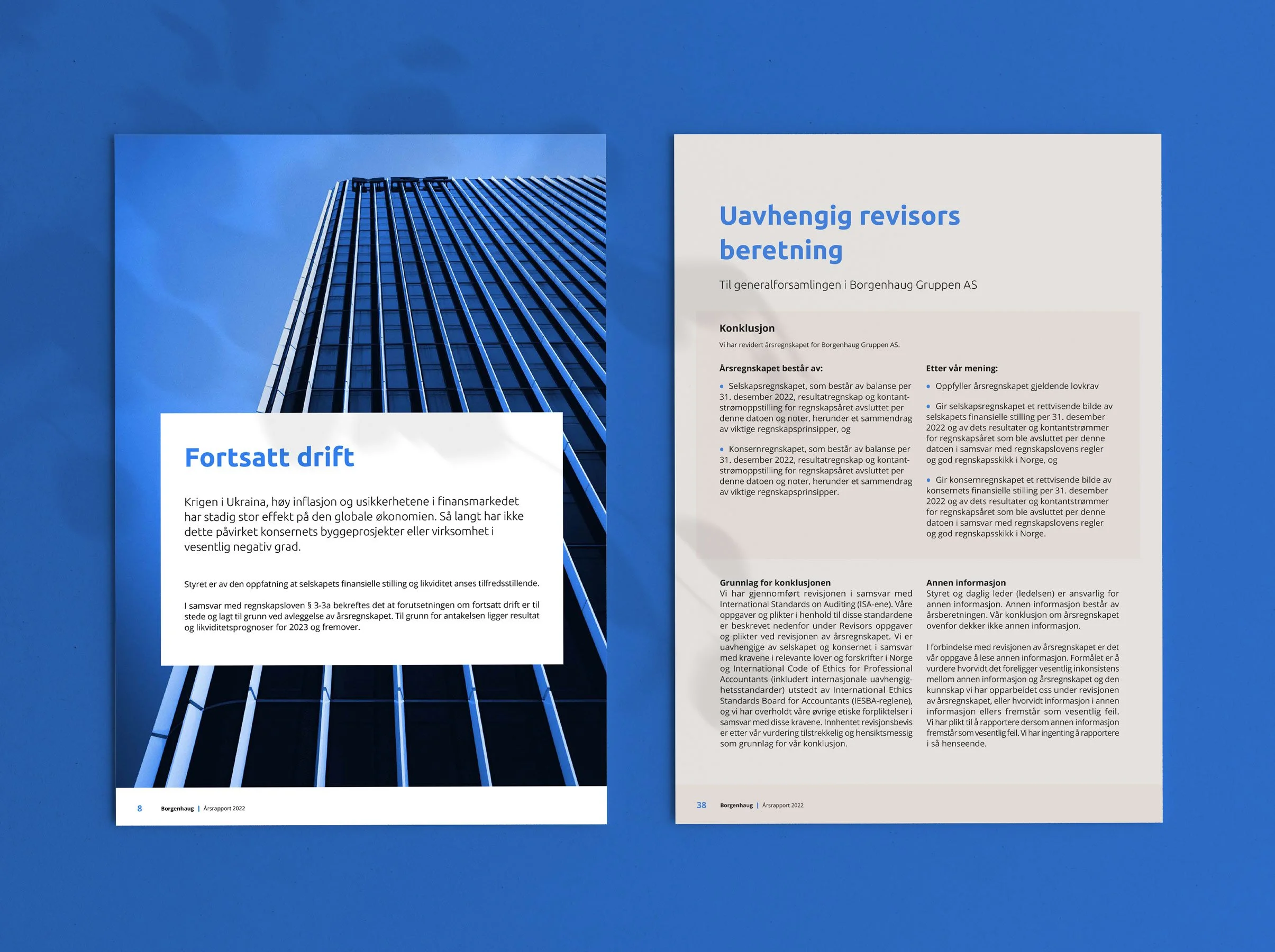 Borgenhaug_rapport_02.jpg