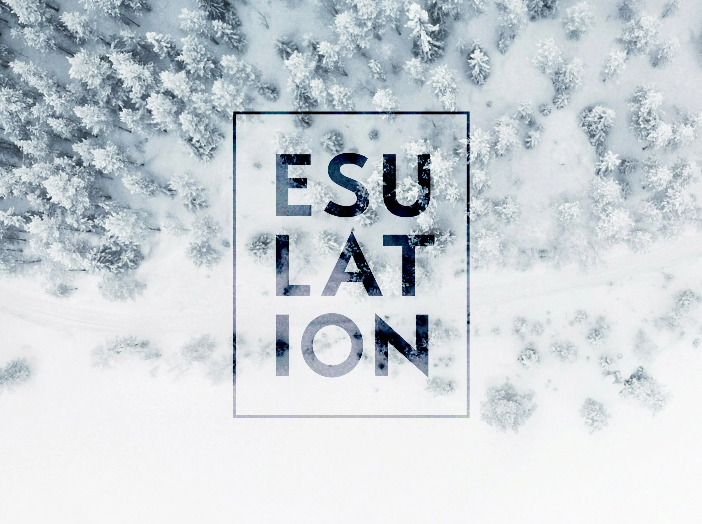 Esulation_02.jpg