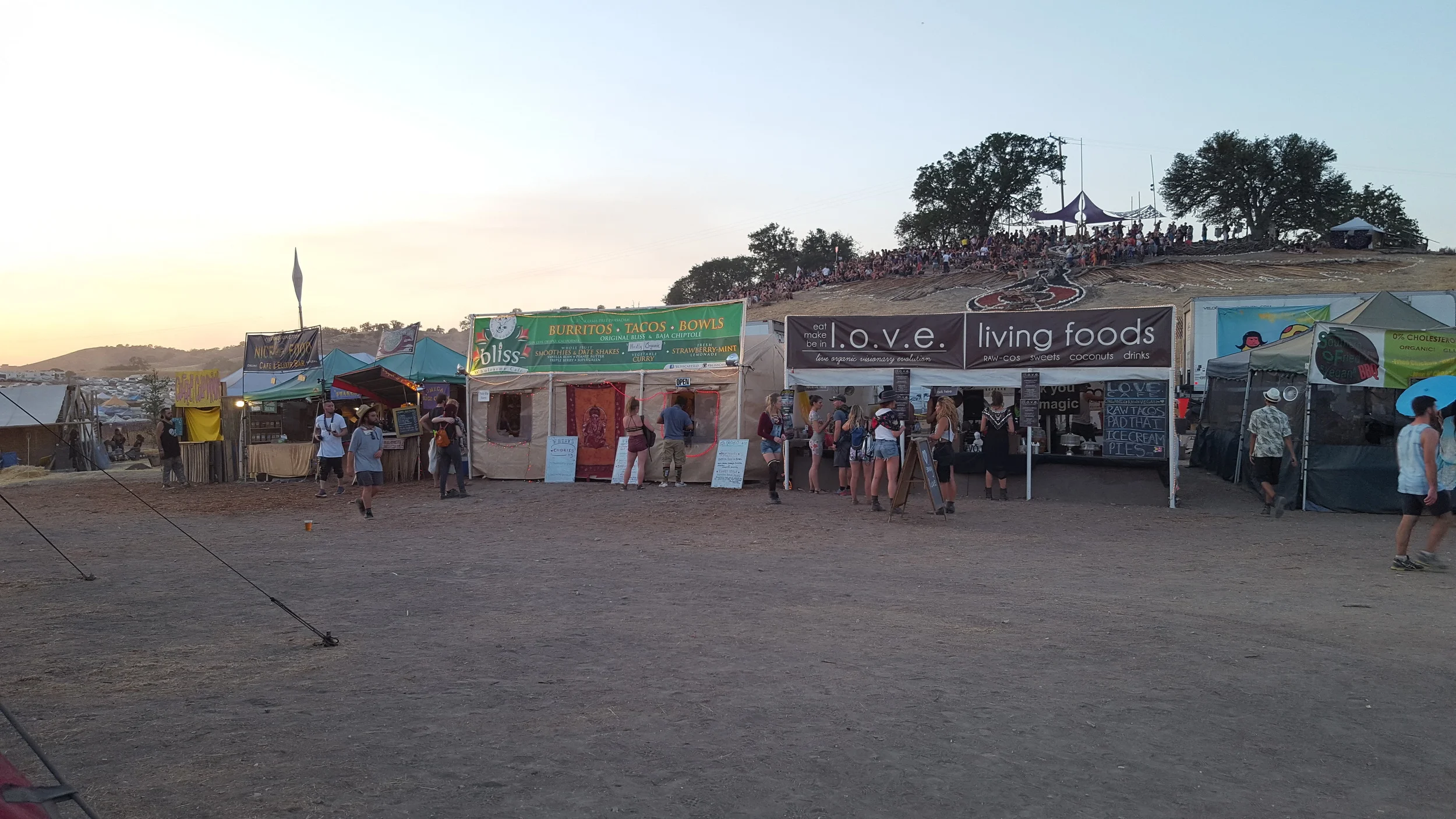 festival food court... one of many/ lots of great vegetarian options!