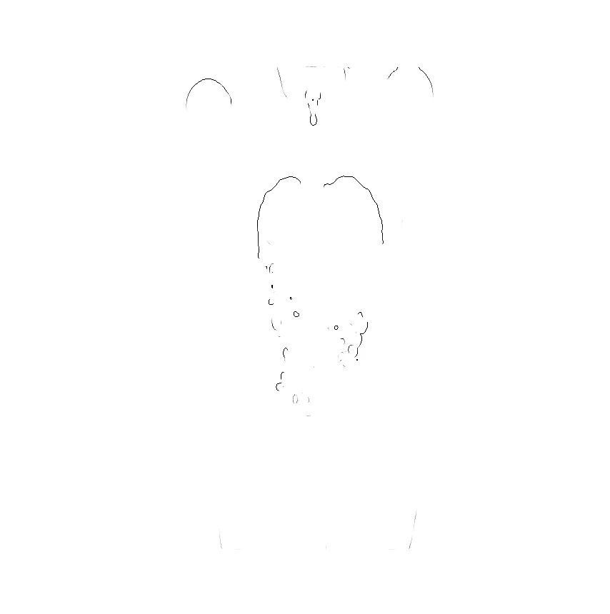 Lungs Outlines fr_004.jpg