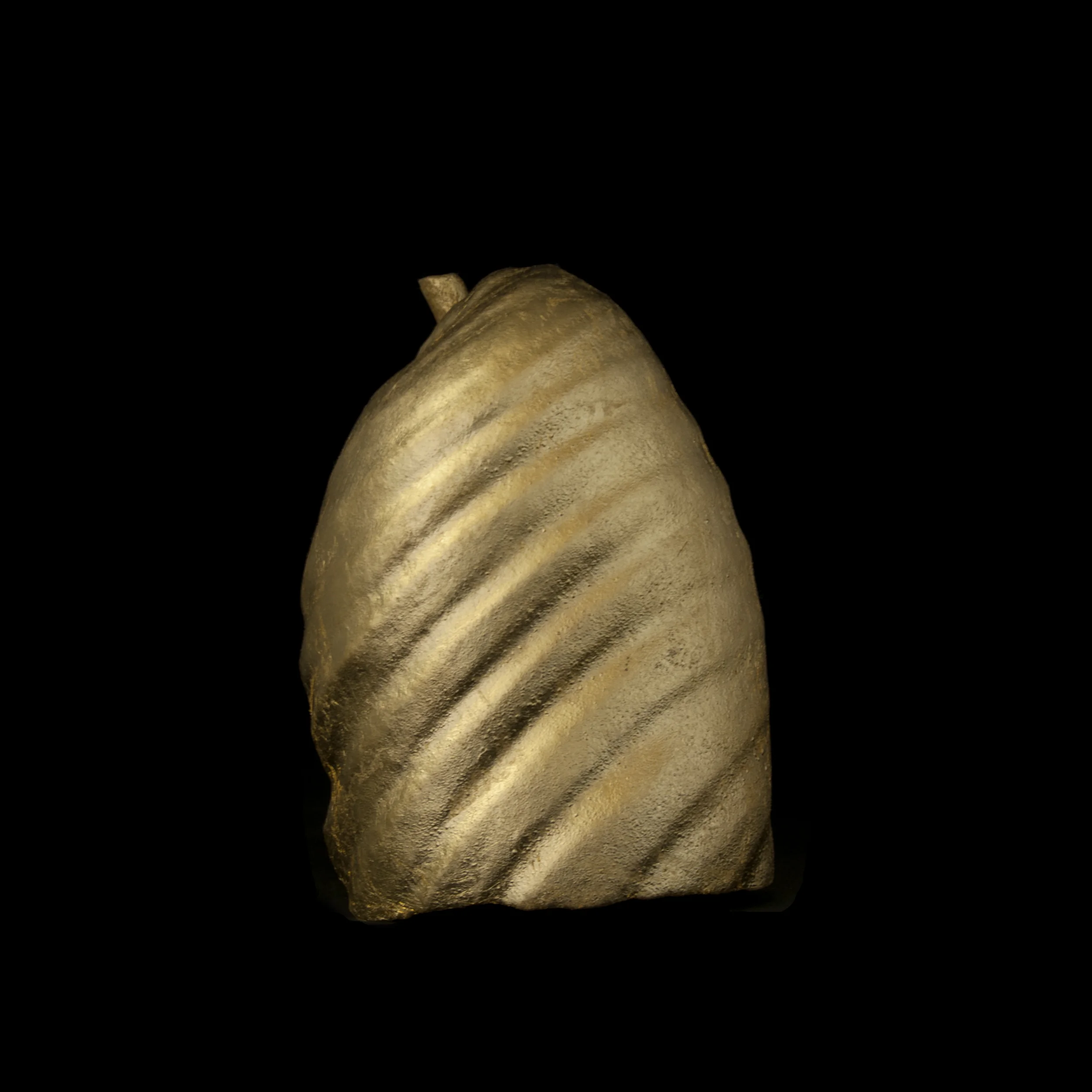 Lungs side r.jpg