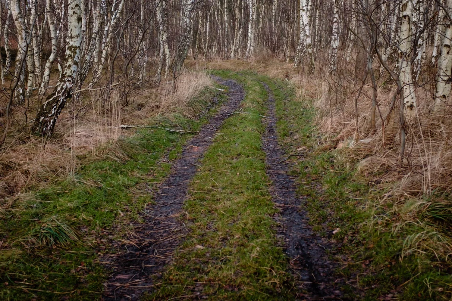 2015_Portfolio_Series_Hiddensee-0010.jpg
