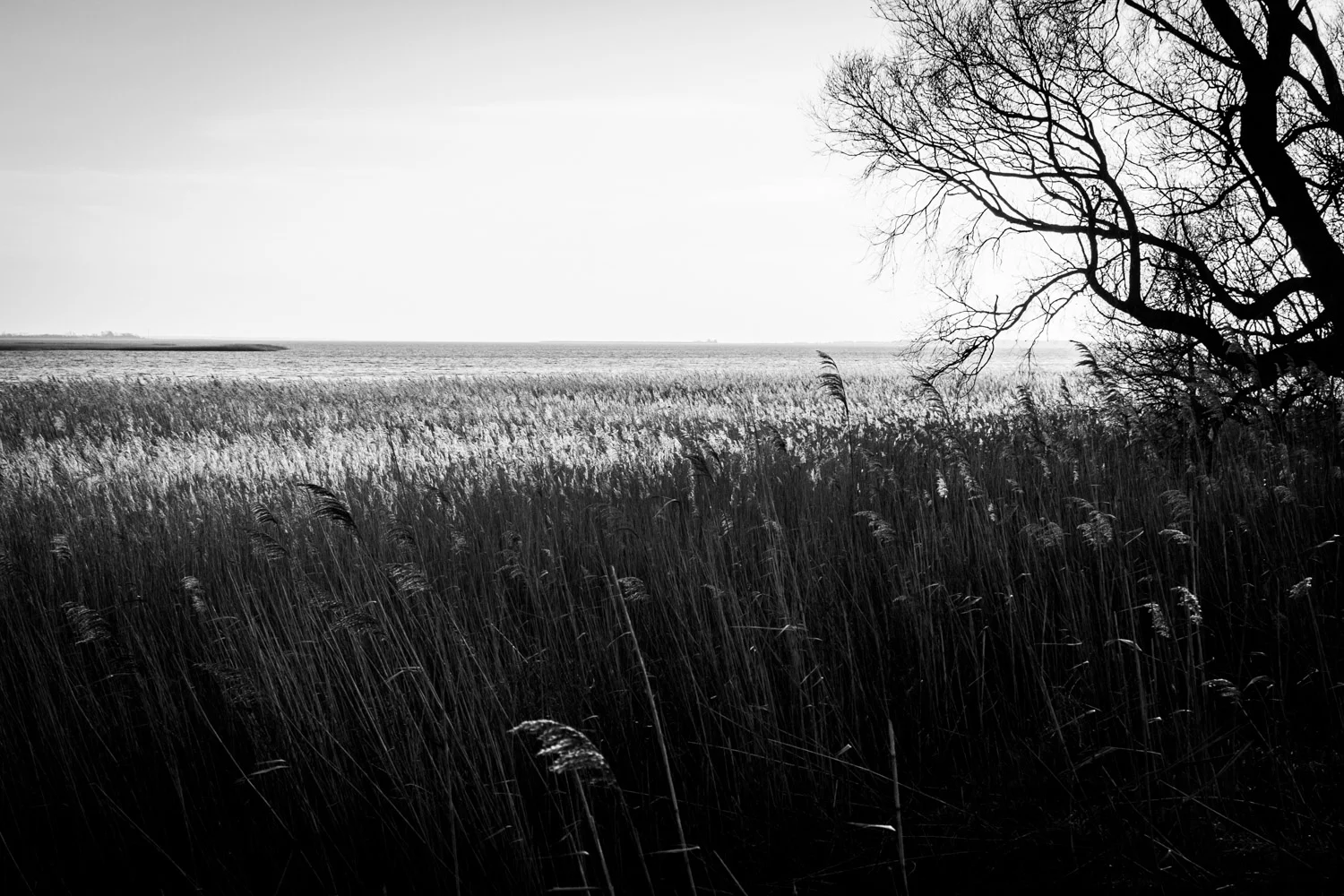2015_Portfolio_Series_Hiddensee-0013.jpg