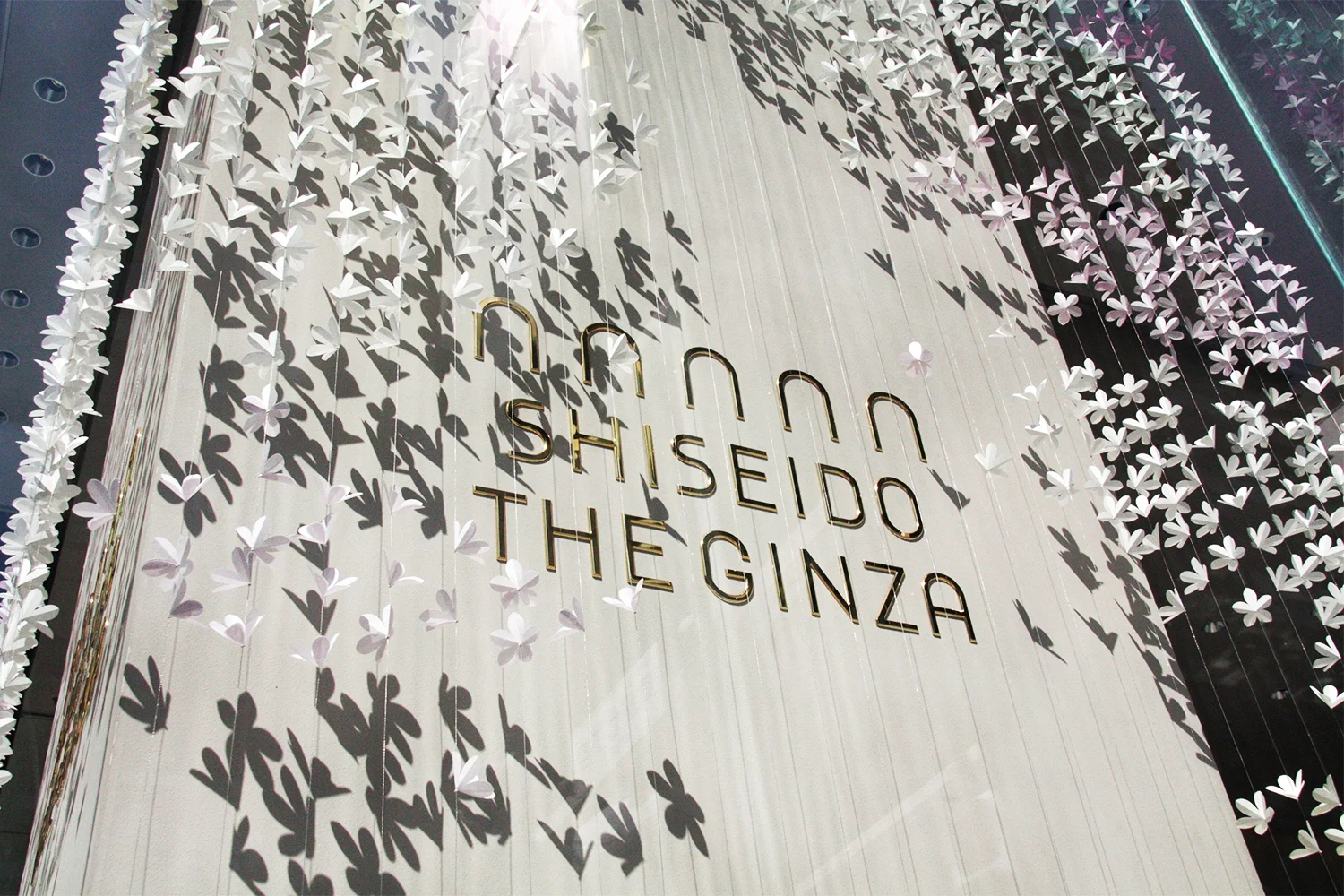 shiseido site 2.jpg