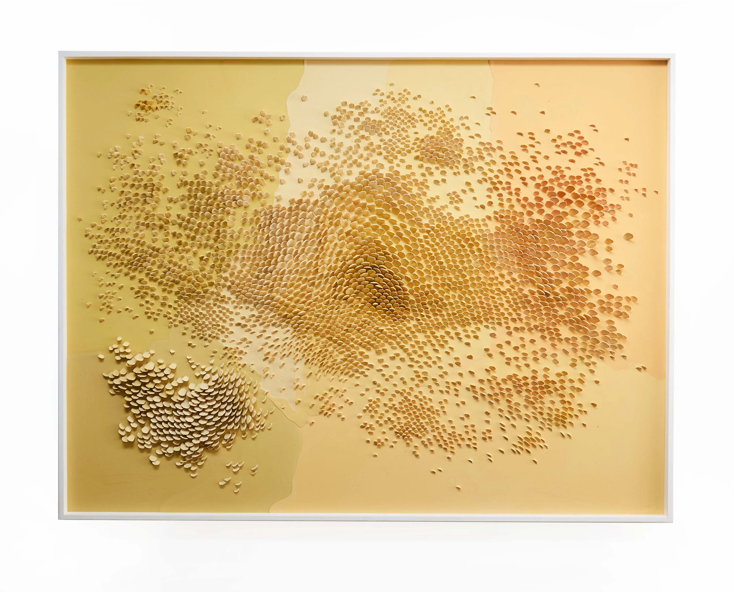 SWARM.jpg