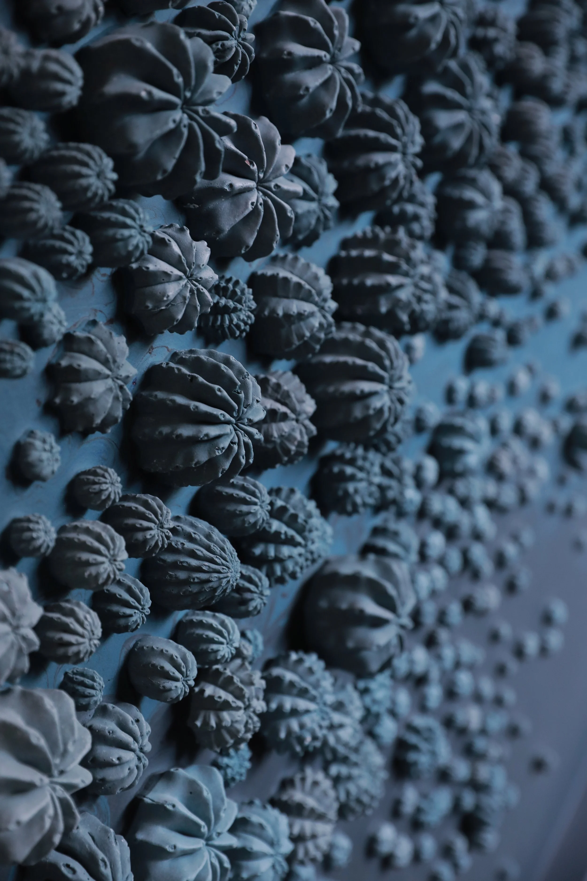hydra detail1.jpg