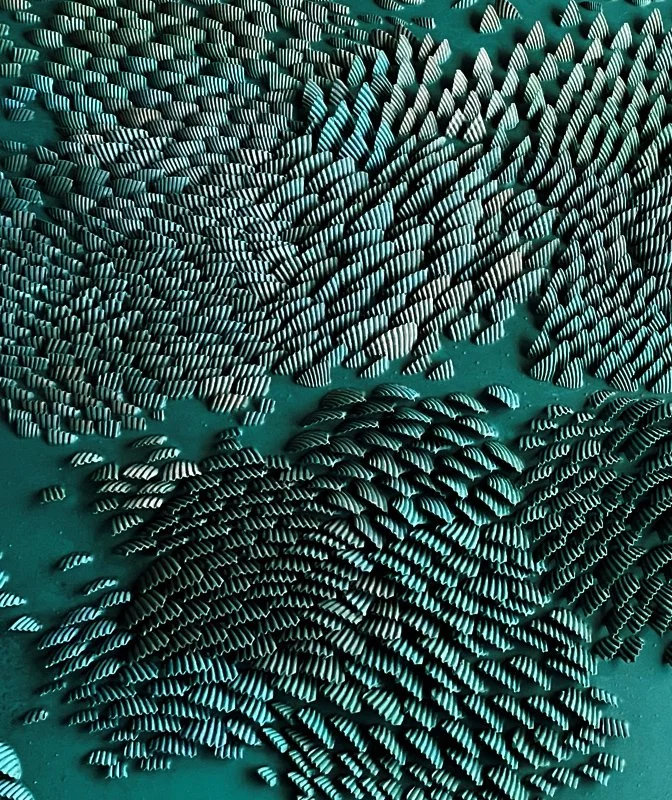 LOW TIDE DETAIL .jpg