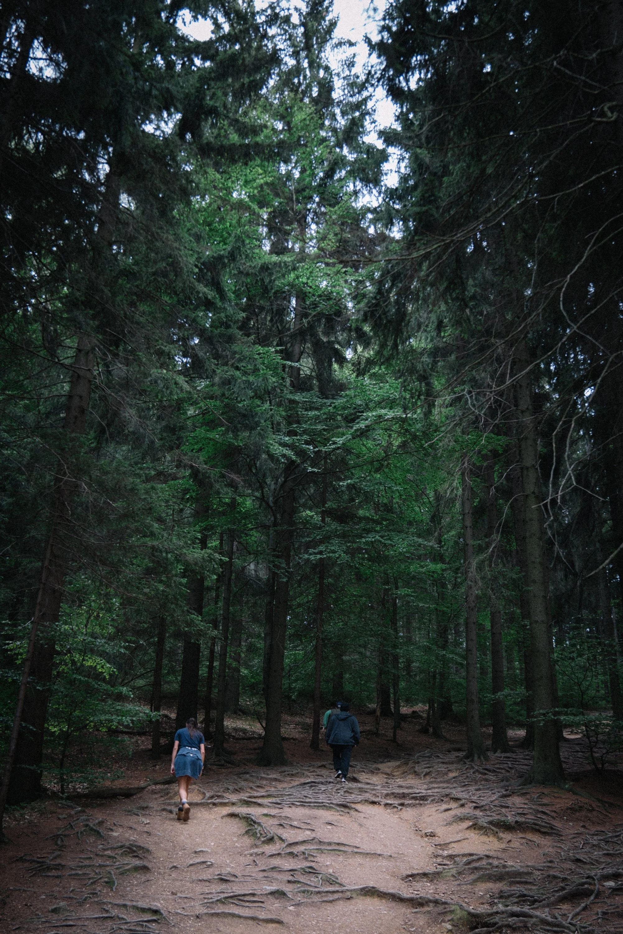 beffio_company_retreat_2022-2.jpg