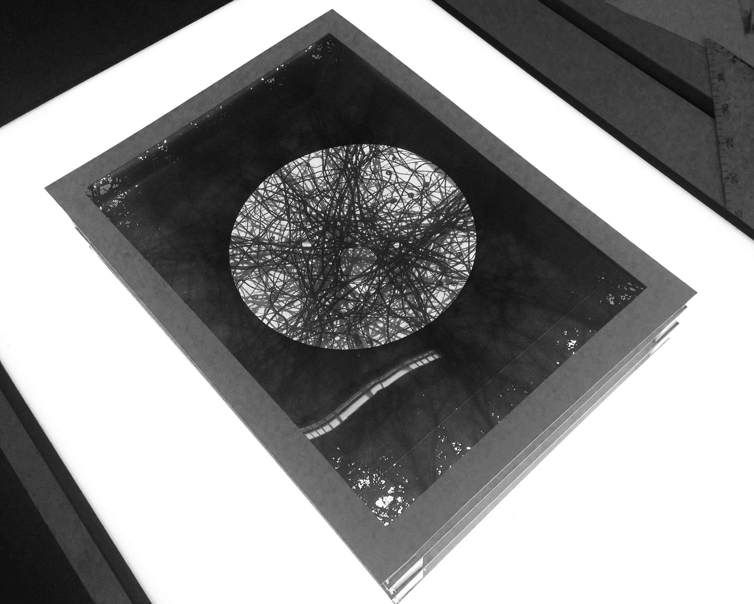 Layered seed drawing by Samer Houssein
