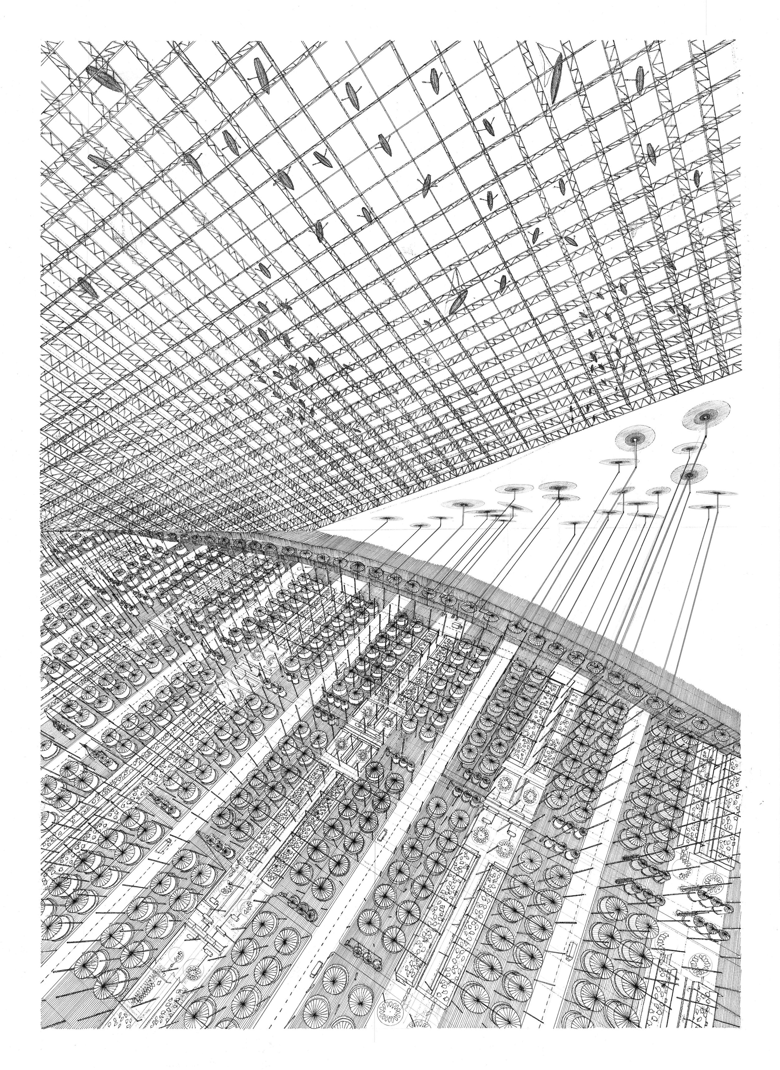underside drawing final.jpg