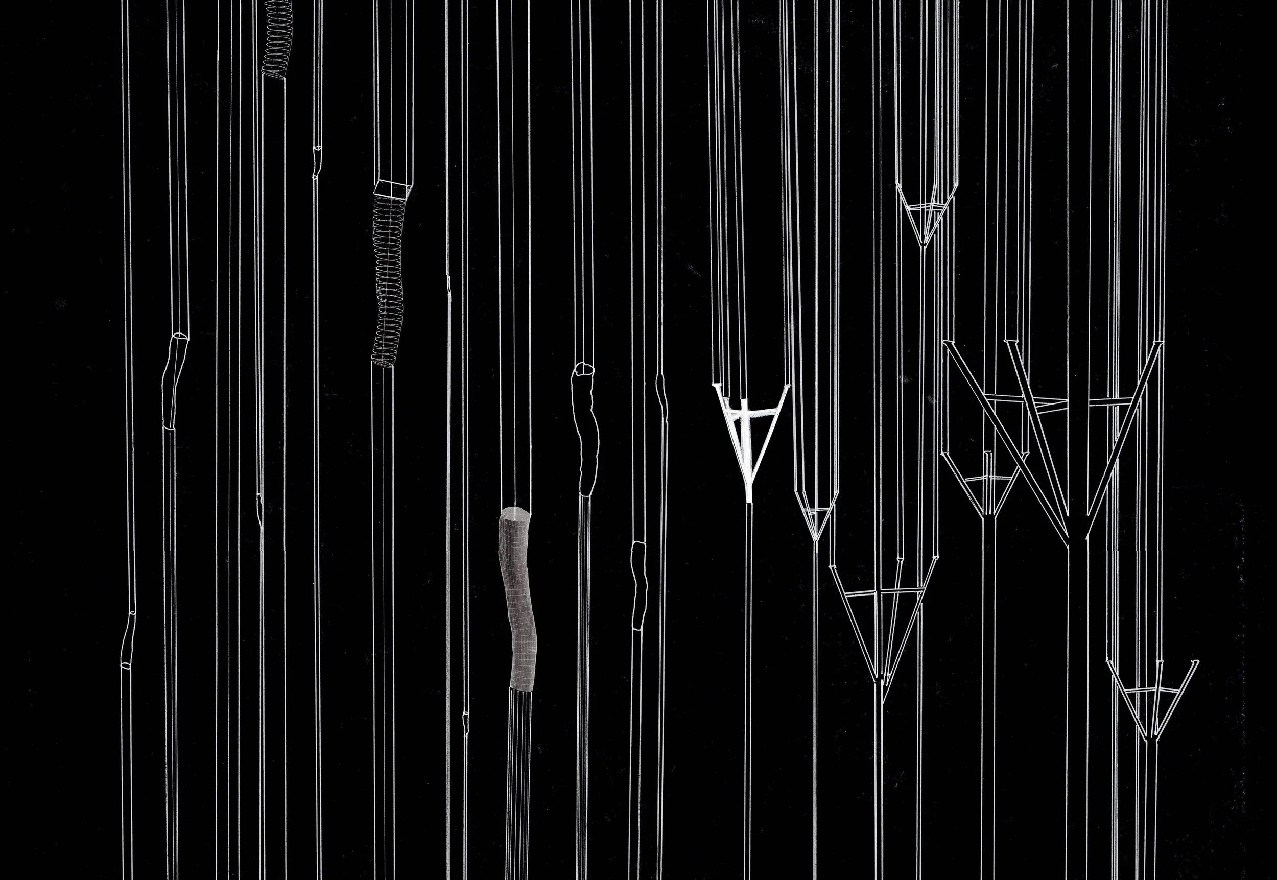 Polar-column_Opposites_A2 copy_invert.jpg