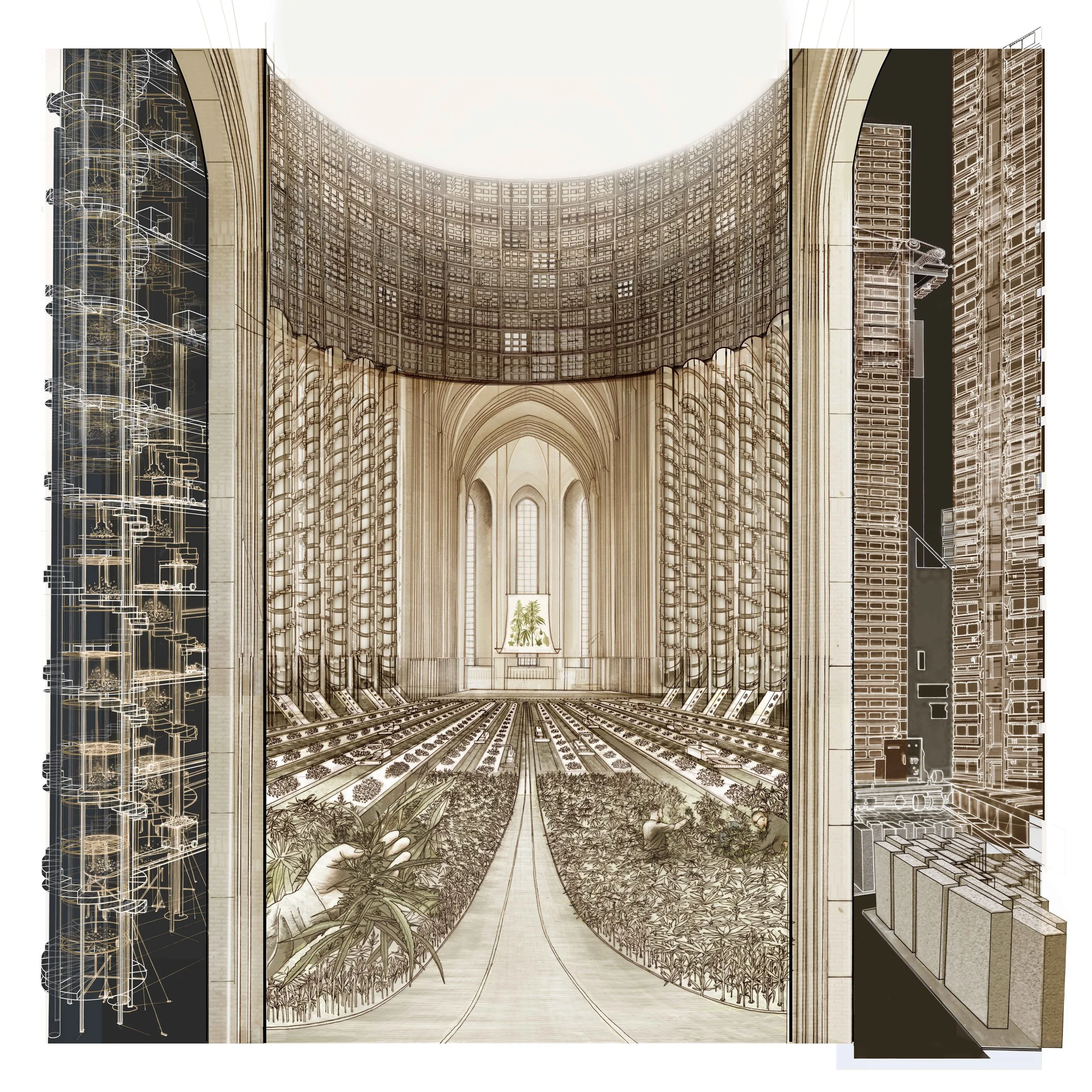  The project explores the production of hempcrete following the process of farming sativa through to the mixing of hemp hurds with lime and water to form hemp blocks. The cathedral like structure suggests a place of worship and a sacredness to this p