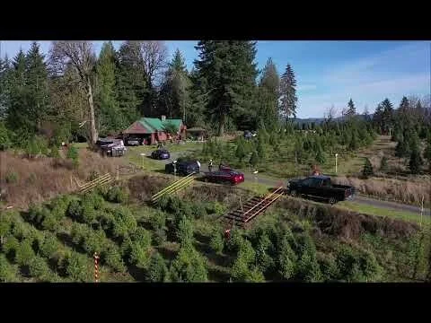 Oxbow Rim Christmas Tree Farm