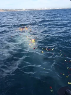 Memorial at Sea.jpg