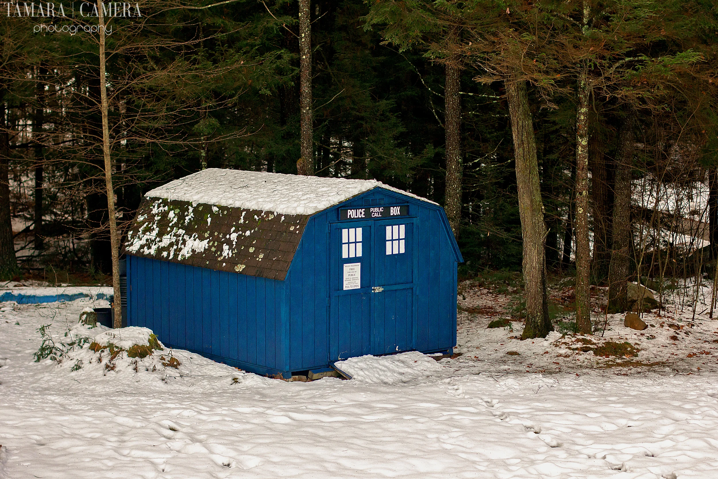Tardis-2.jpg