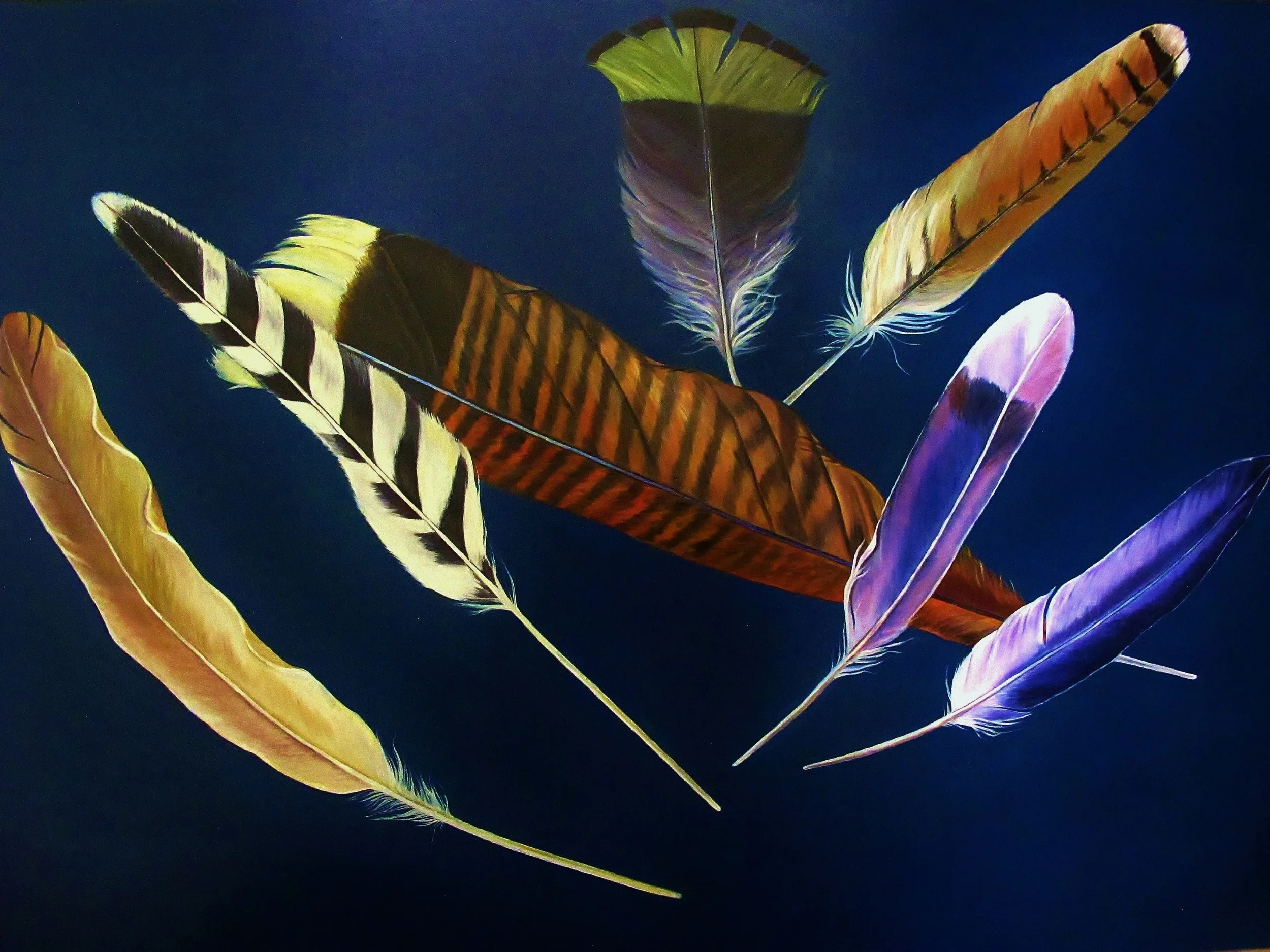   Flying Feathers , 2014 Oil on canvas, 36 x 48 inches 