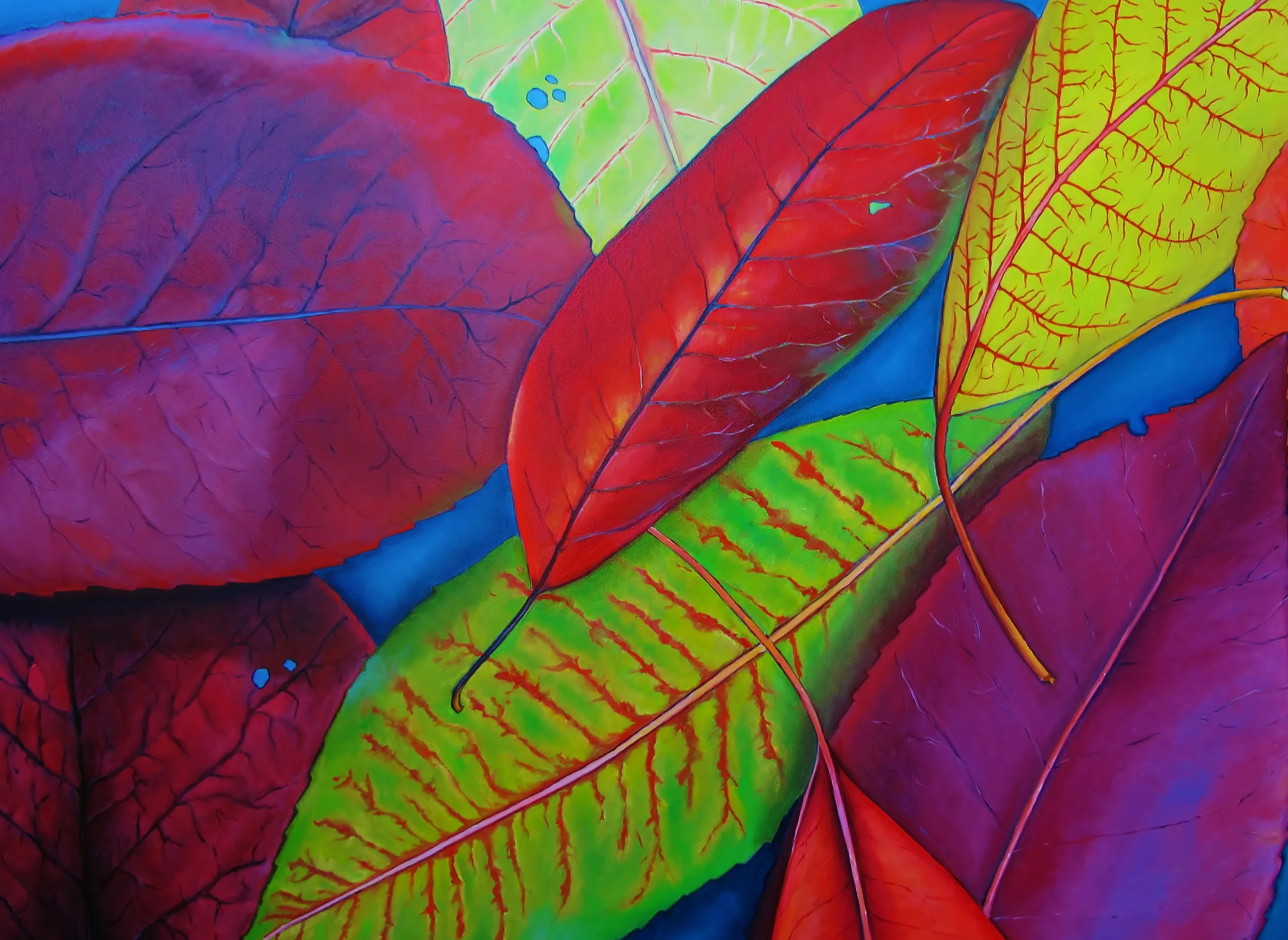   Photinia , 2014 Oil on canvas, 36 x 48 inches 