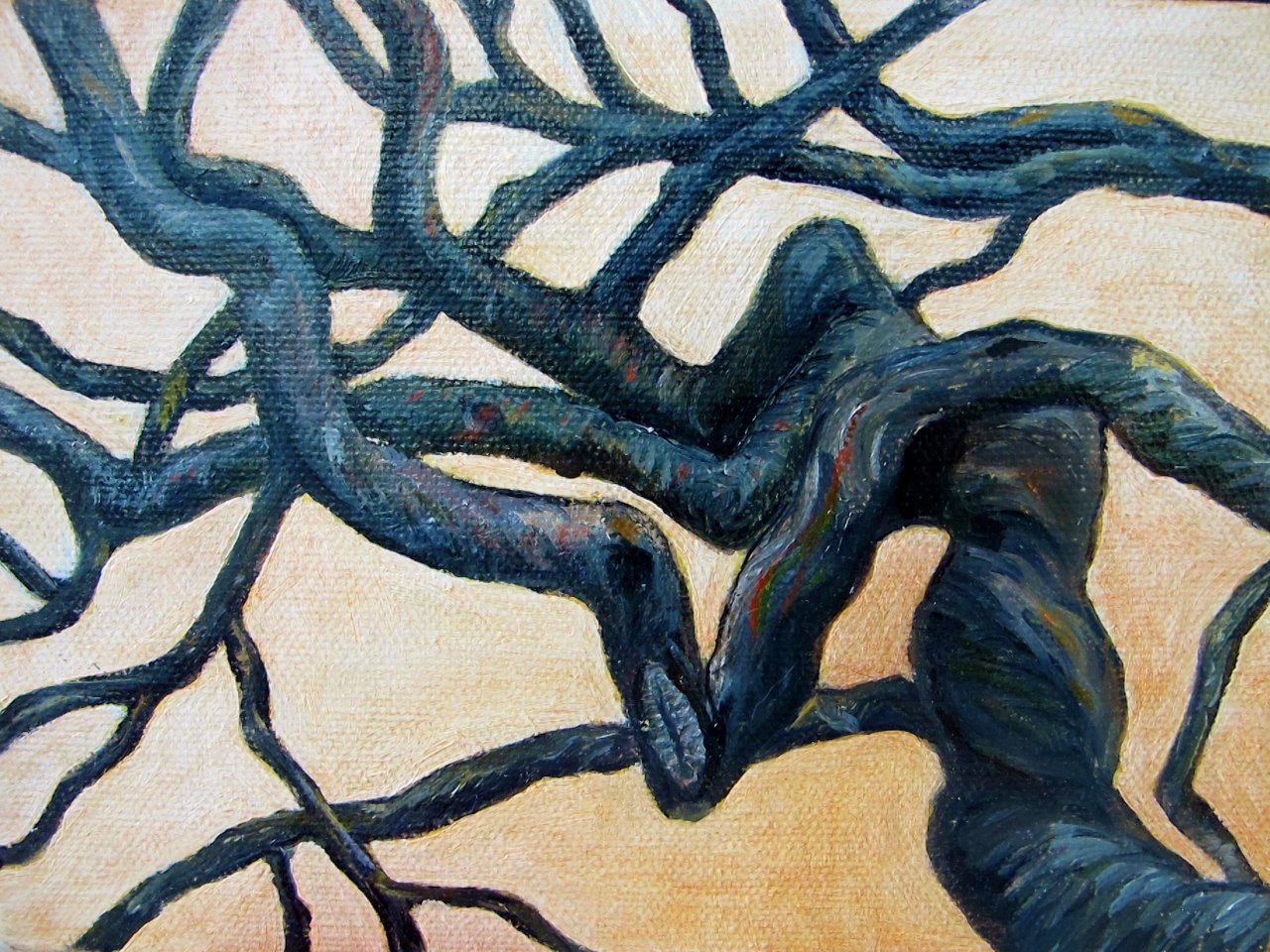 Branches , 2012 Oil on canvas, 5 x 7 inches
