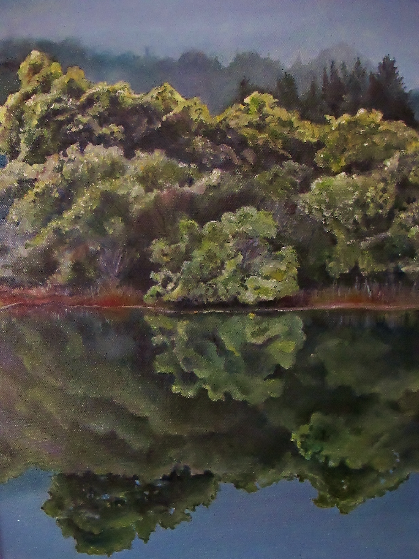 Corte Madera Creek Reflection , 2014 Oil on canvas, 16 x 12 inches