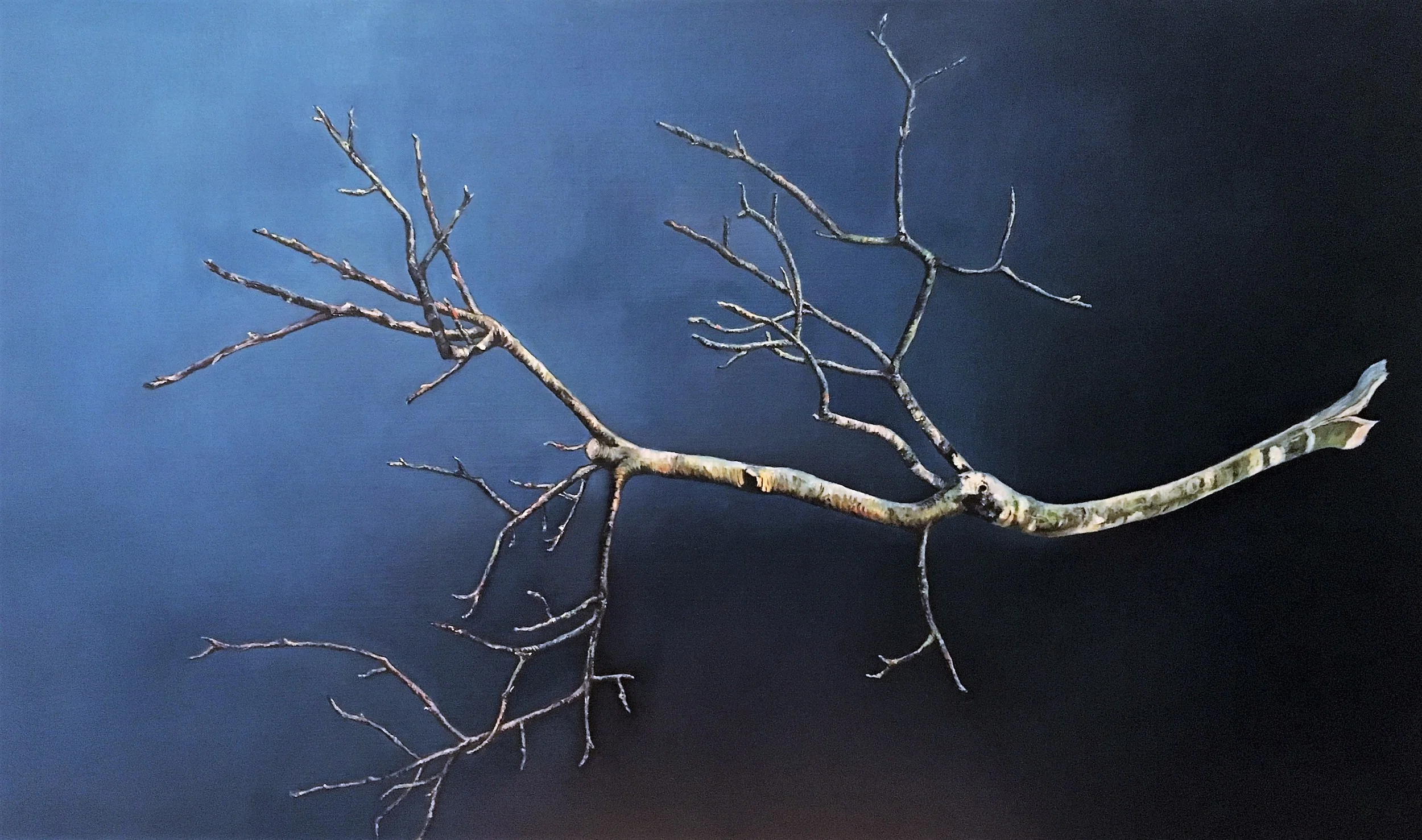 Detached , 2016 Oil on canvas, 24 x 40 inches