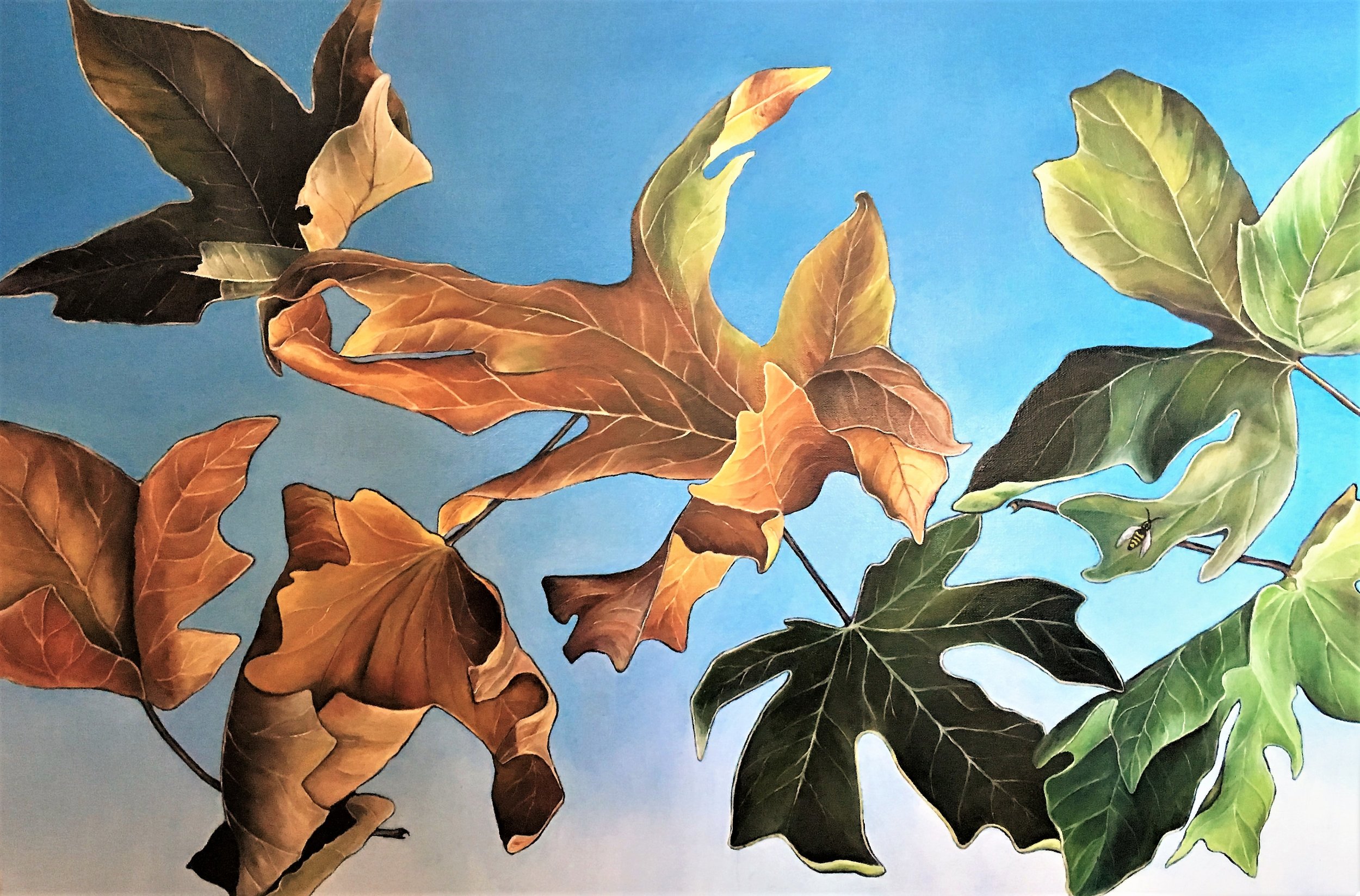   Autumn Sycamore , 2017 Oil on canvas, 24 x 36 inches 