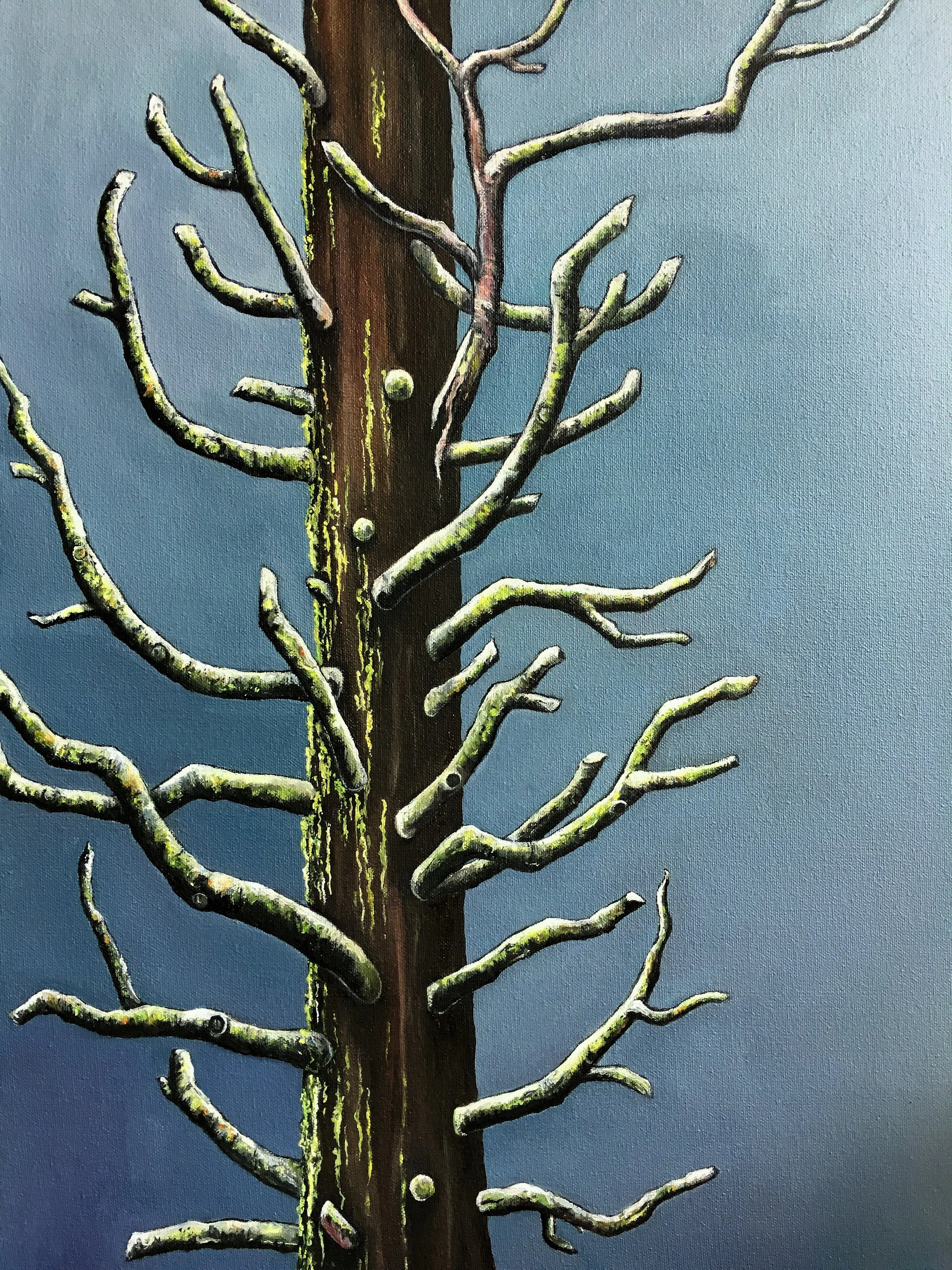   Winter Tree , 2017 Oil on canvas, 24 x 18 inches 