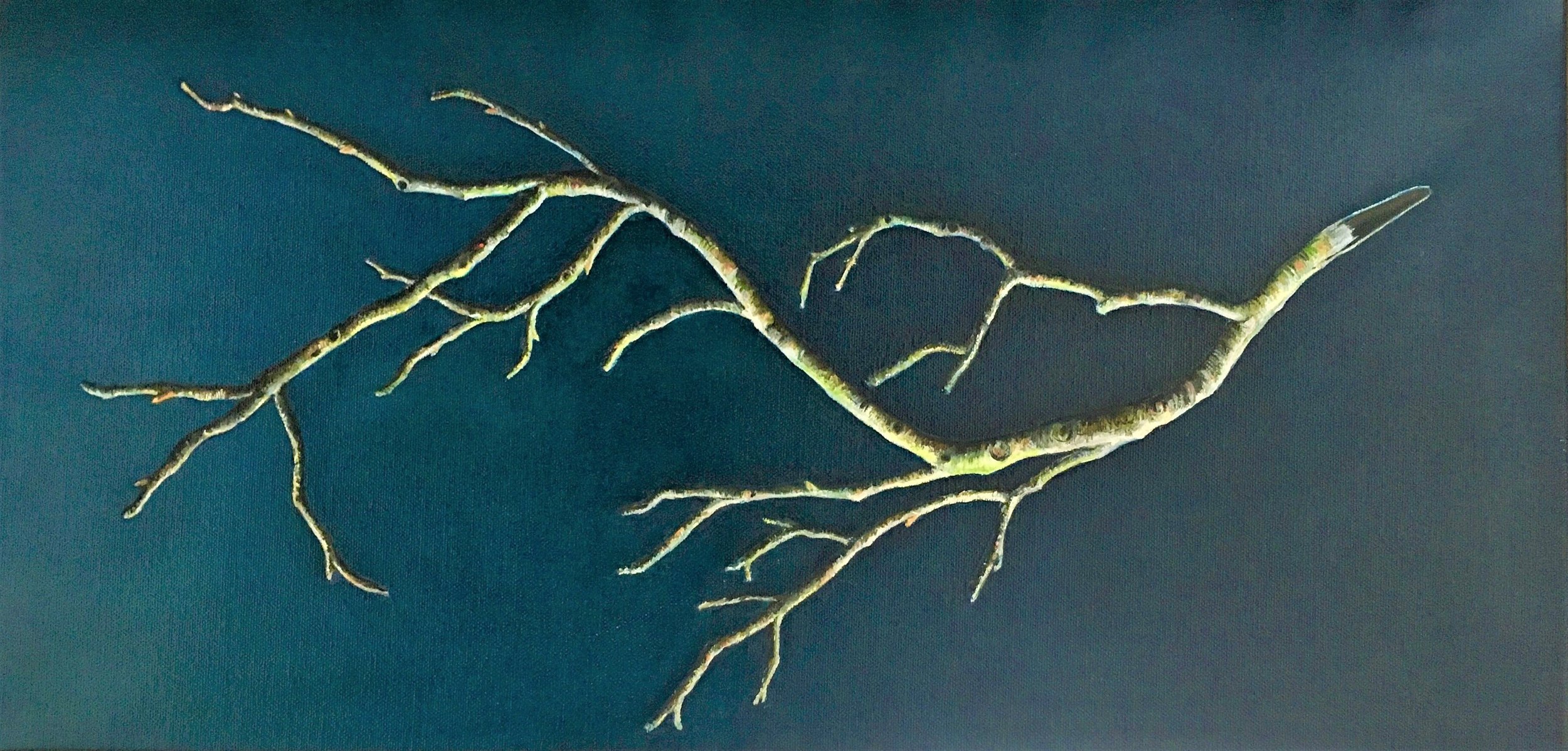 Detached Three , 2017 Oil on canvas, 12 x 24 inches