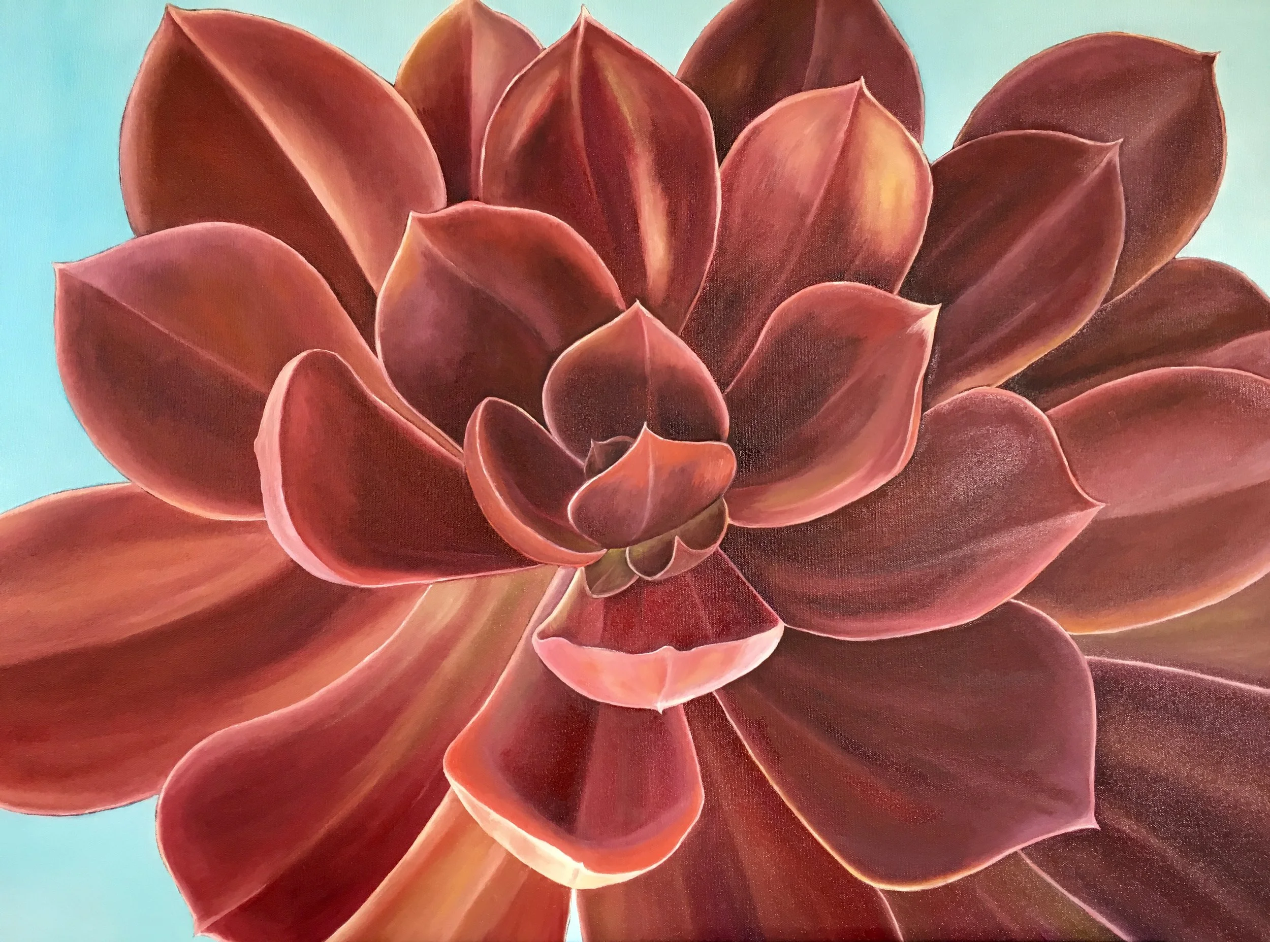   Succulent Two , 2019 Oil on canvas, 24 x 36 inches 