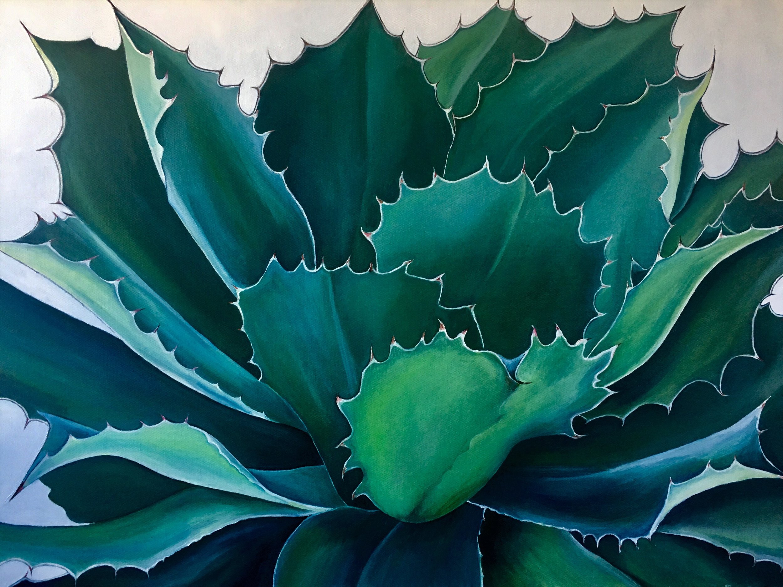   Agave,  2019 Oil on canvas, 24 x 36 inches 