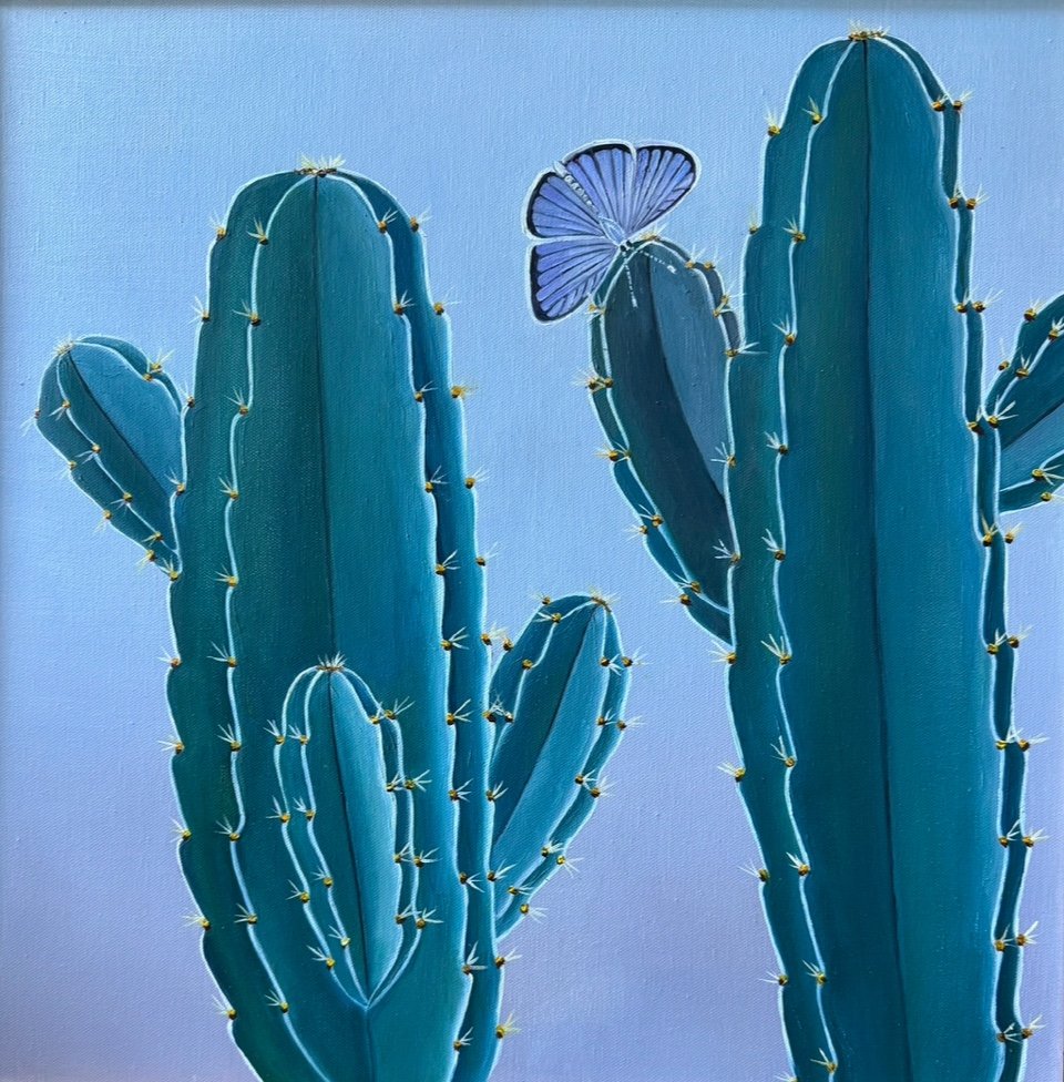 Eastern Tailed Blue , 2025 Oil on canvas, 18 × 18 inches