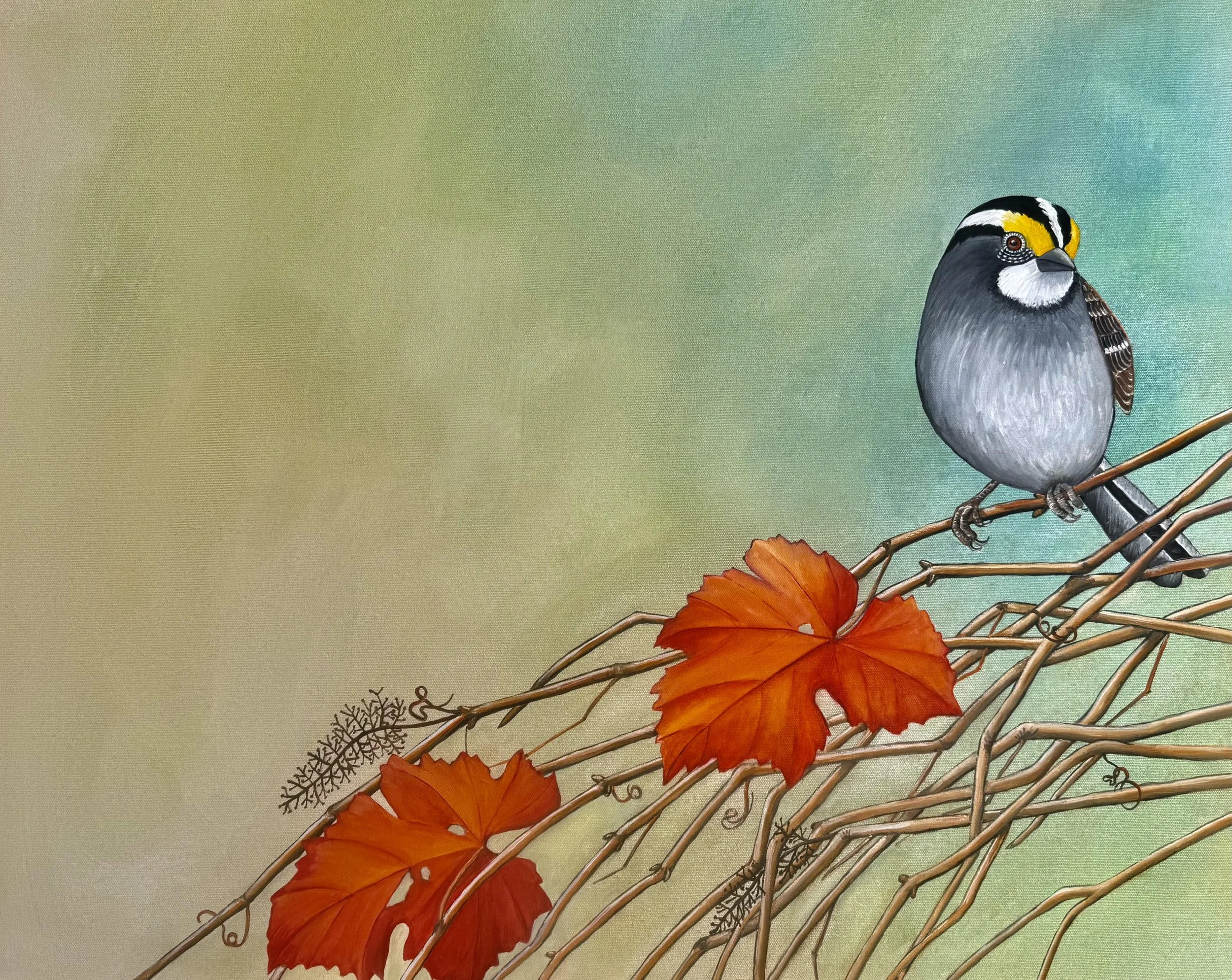   Sparrow,  2026 Oil on canvas, 24 × 30 inches 