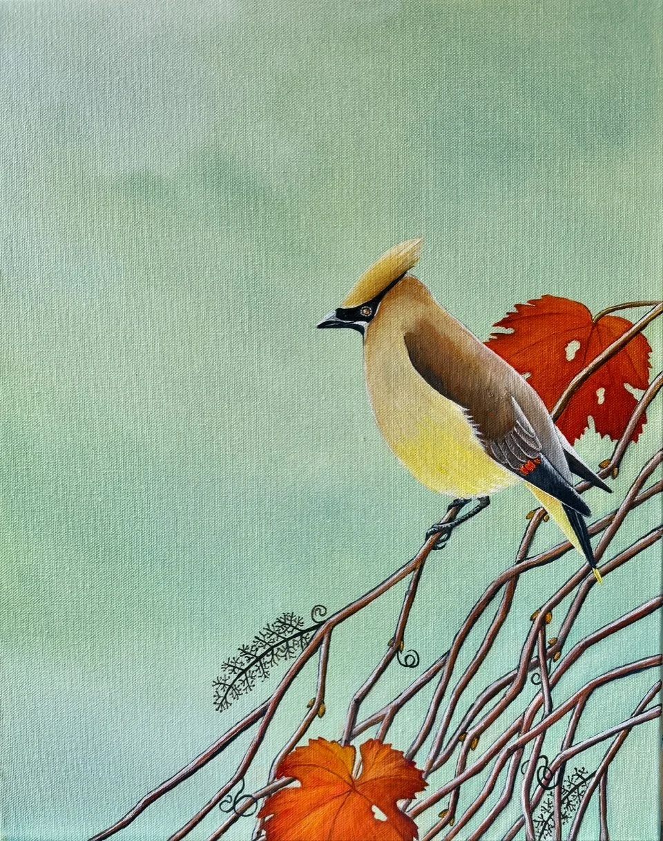   Mr. Waxwing , 2026 Oil on canvas, 20 × 16 inches 