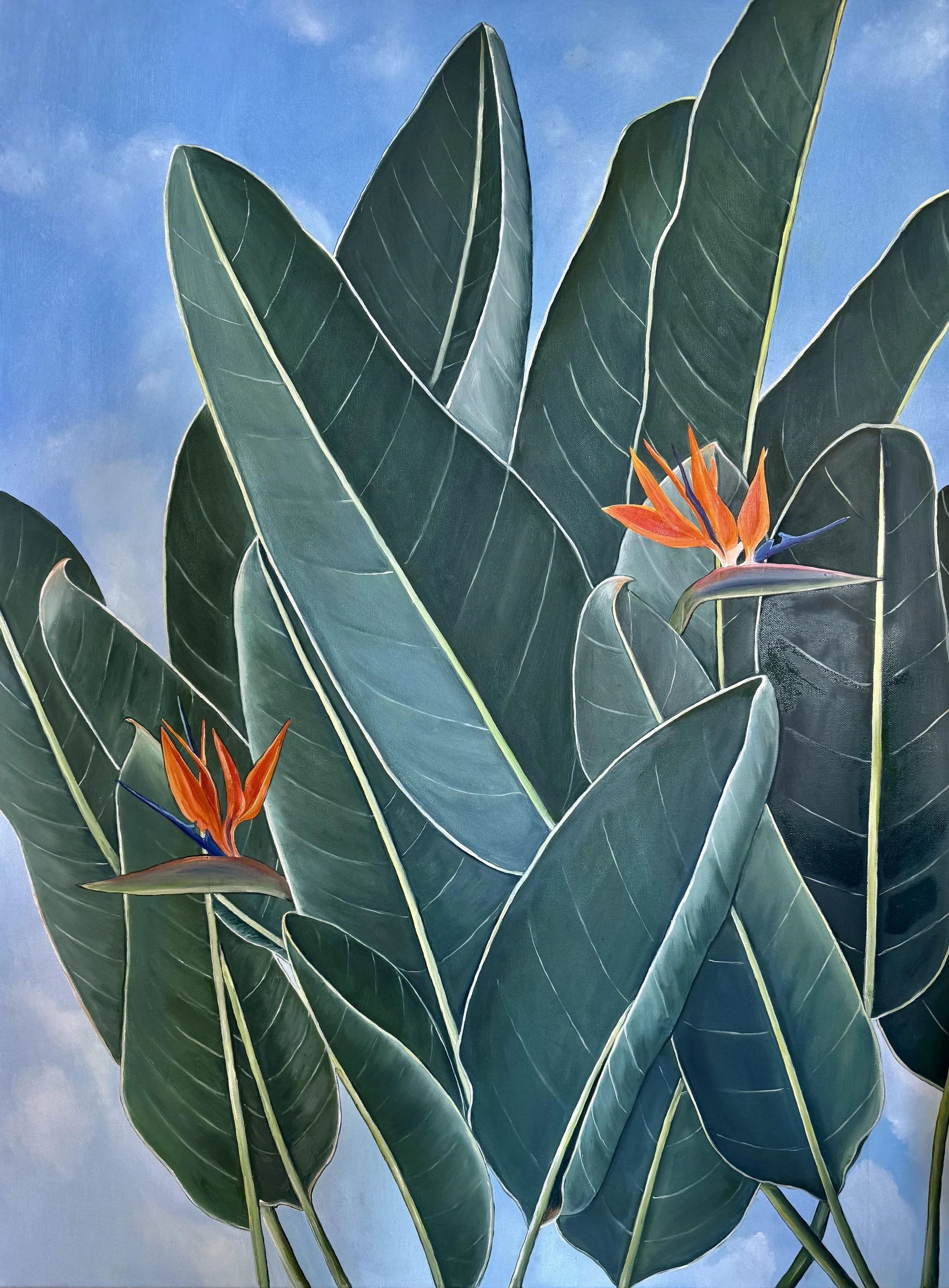   Bird of Paradise , 2025 Oil on canvas, 40 × 30 inches 