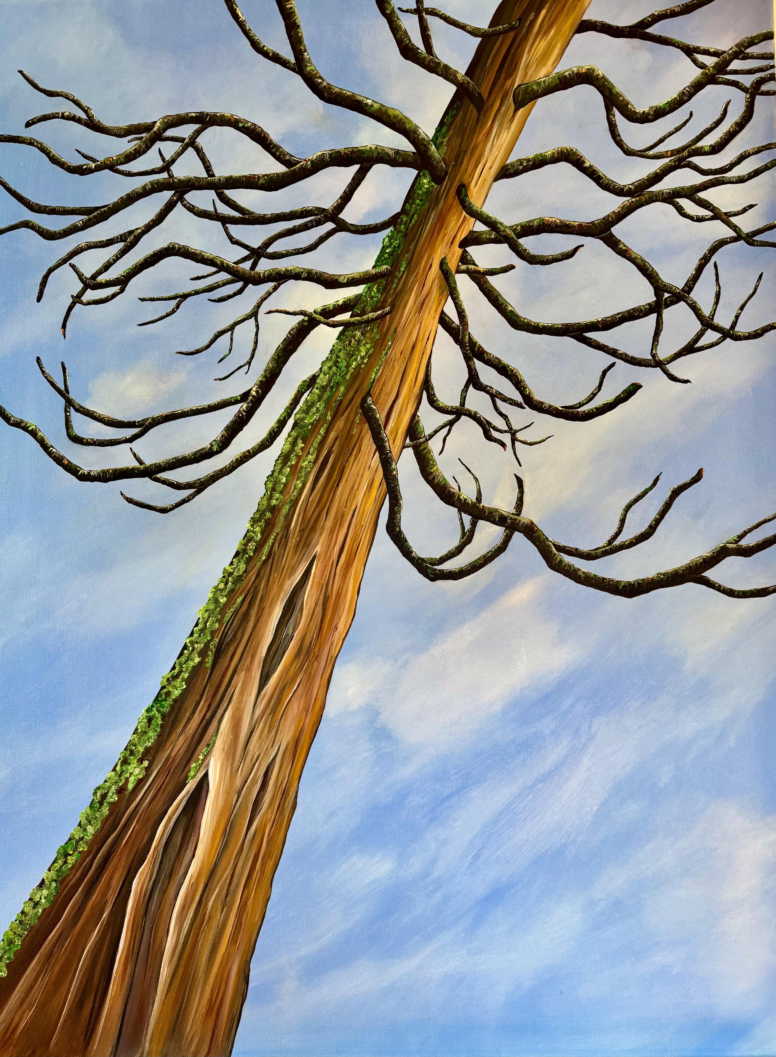   Tahoma,  2025 Oil on canvas, 40 × 30 inches 