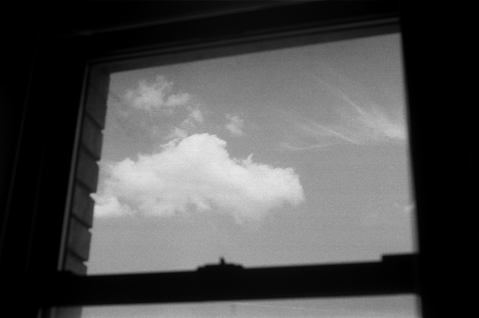 Window, Bushwick, July 2013 