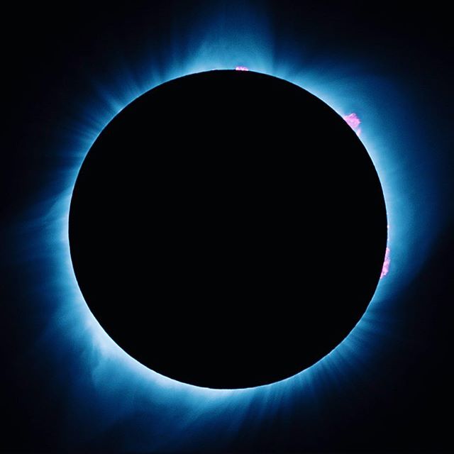 Today's photo of the eclipse is a perfect example of the fascinating details visible only during total eclipses. The red/pink prominences visible along the edges are solar flares erupting from the surface of the sun! These flares are intense releases