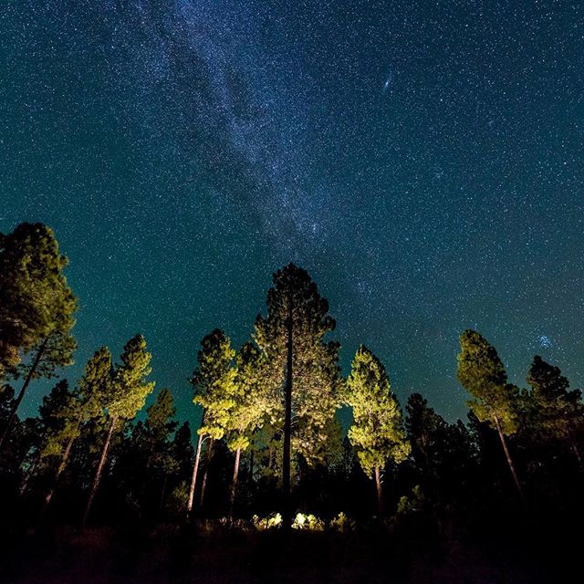 Milky Way rising over the trees of the Apache-Sitgreaves national forest outside Pinetop-Lakeside.  #milkyway #forest #sky #stars #trees #night #nightphotography #nationalforest #arizona #pinetop #pinetoplakeside #nikon