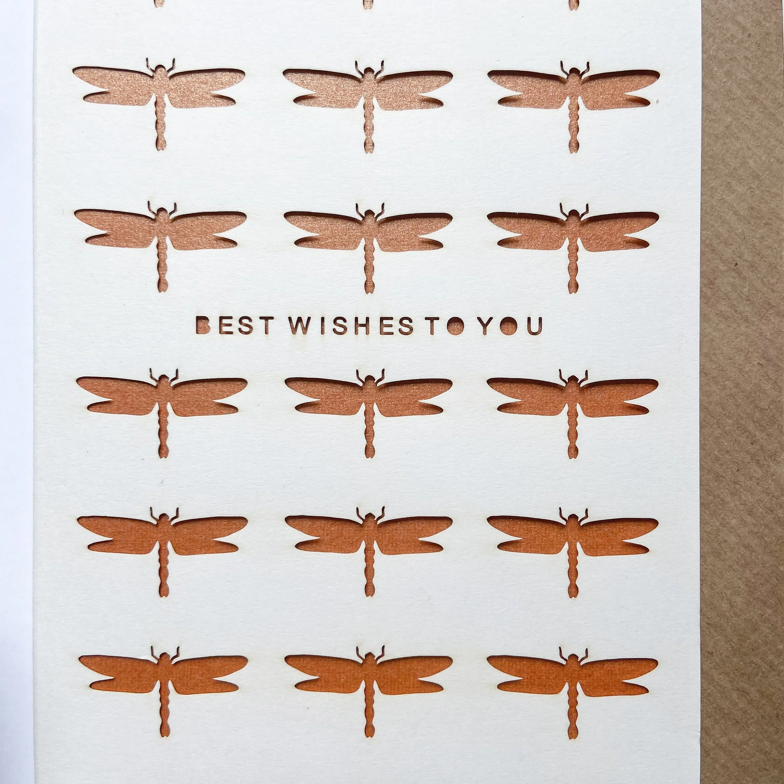 GC-BB05 DRAGONFLYWISHES 2.jpeg