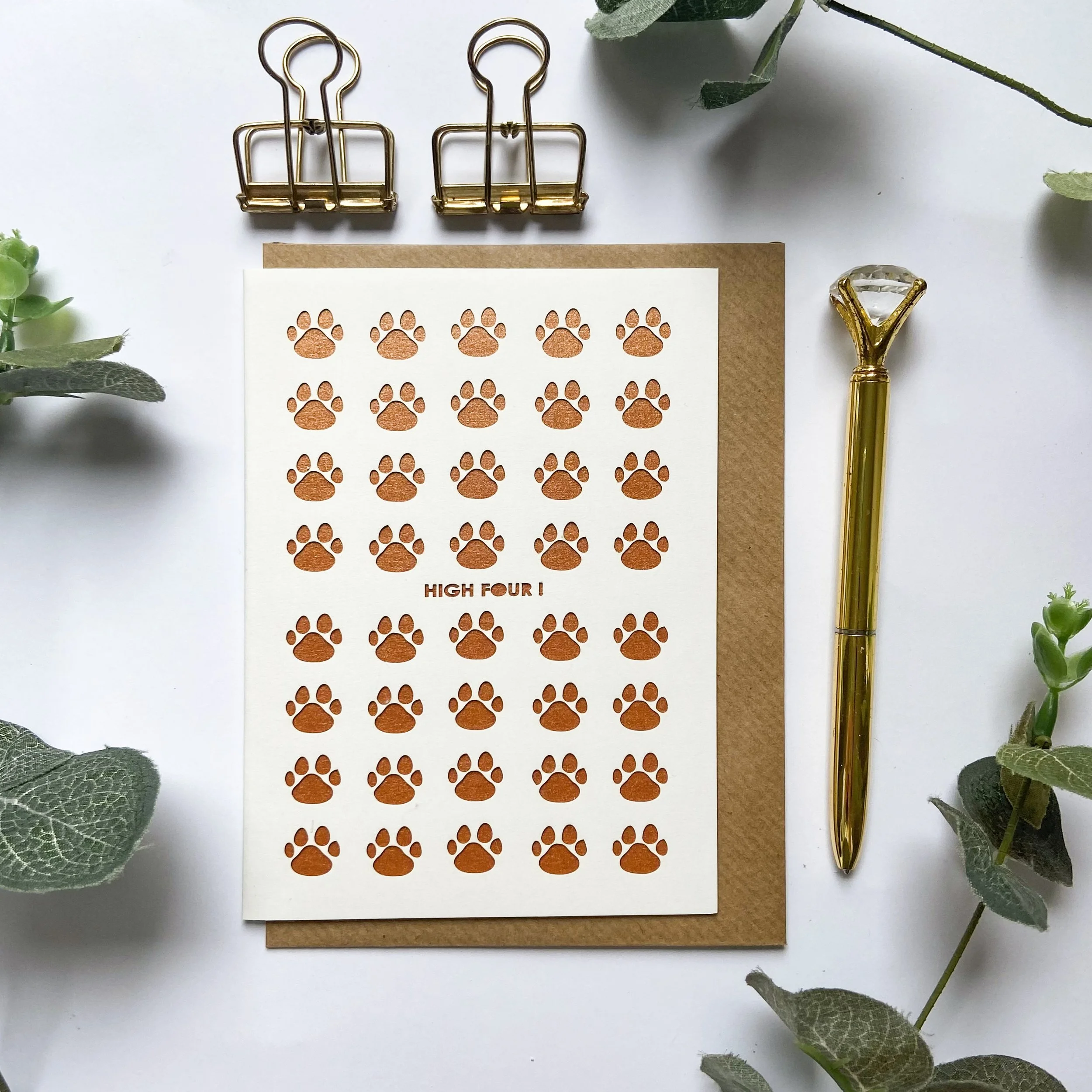 GC-BB13 PAW HIGH FIVE.jpeg