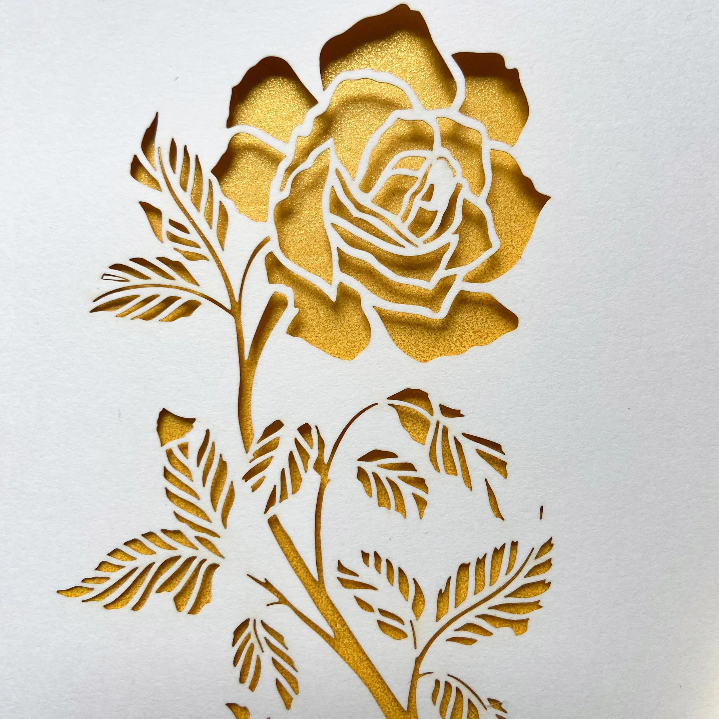 GC12 ROSE ANNIVERSARY 2.jpeg