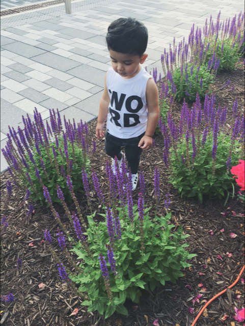 toddler/baby graphic cut off WORD tee