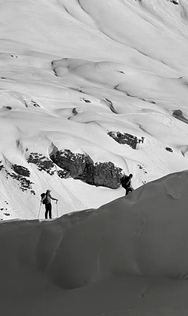 Telemark Freeride Safari 2026 Désert de Platé, Flaine1.jpg