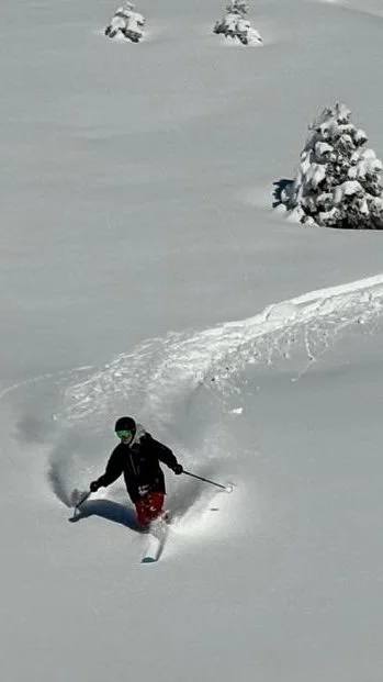 Telemark Freeride Safari 2026 Flaine Powder2.jpg