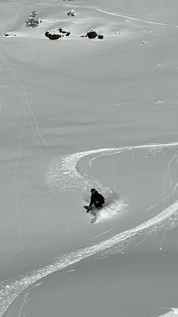 Telemark Freeride Safari 2026 Flaine Powder1.jpg