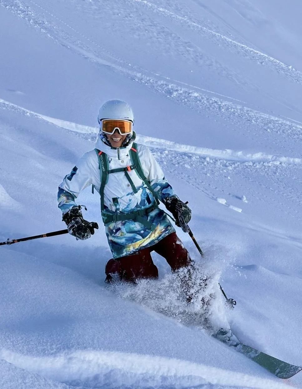 Telemark Freeride Safari 2026 Grand Massif.jpg