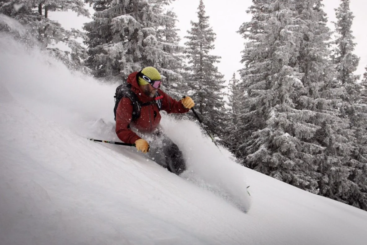 Telemark Freeride Les Carroz trees.jpg