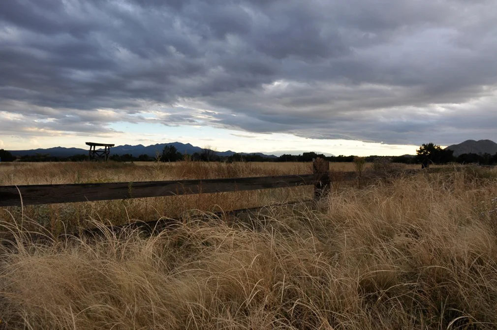 Open Field with Cloudy Sky.jpg