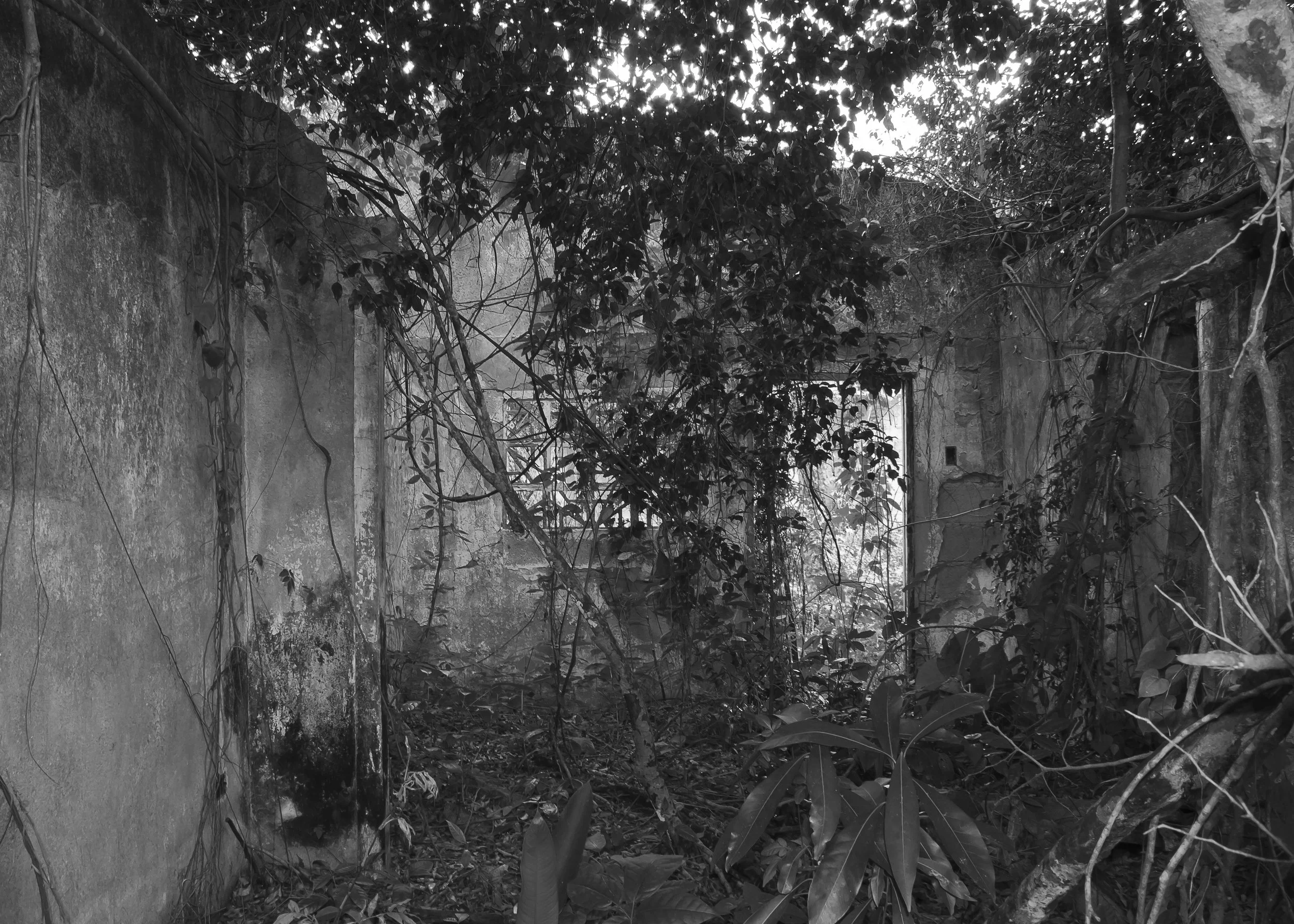 Places of Memory Series, Mampuján, Colombia