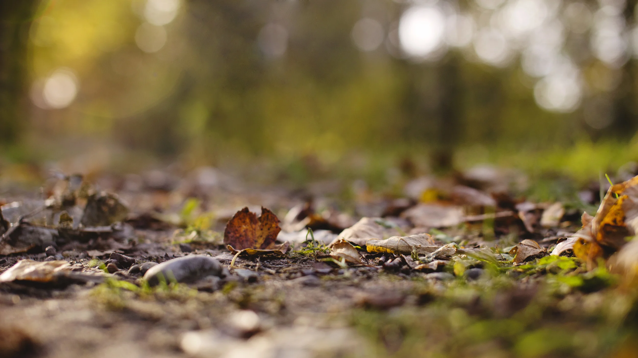 Lake Elmo Park – Genuine Photography
